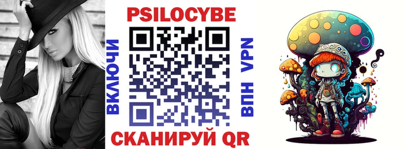 Псилоцибиновые грибы Psilocybe  Купить  Красноуральск 